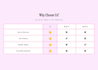 Shopify Cheat Codes Bundle