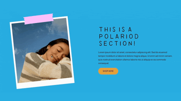 Polaroid Hero